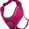 DDOXX Hondenharnas, Reflecterend, Verstelbaar, Breakaway | Borstharnas Voor Klein, Middelgroot | Hondenharnas Hond Kat Puppy Auto | Kattenharnas Puppy Harnas | Roze Roze, S -Huisdierenserie Winkel 1032x1200