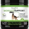 DOG OPTIMAL Gewricht Supplement 120 Stuks - Mobility - Glucosamine Hond - Artrose - Heupdysplasie - Gewrichten - Hondensnacks - Hondenkoekjes - Hondensupplementen - Honden - Puppy - Hondenvoeding -Huisdierenserie Winkel 1050x1200