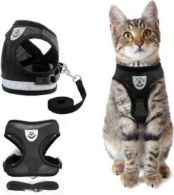 Merkloos Kattentuigje Met Looplijn | Zwart Kattenharnas | Easy Step In | Kattenriem | Kattenlijn | Kattentuig | Maat S 19 Merkloos Kattentuigje Met Looplijn | Zwart Kattenharnas | Easy Step In | Kattenriem | Kattenlijn | Kattentuig | Maat S -Huisdierenserie Winkel 1070x1200