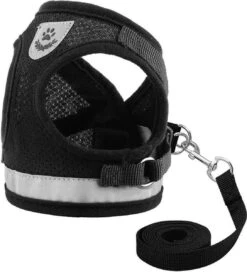 Huisdierenserie Winkel -Huisdierenserie Winkel 1089x1200