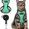 Kattentuigje Met Leiband Riem Kattenharnas Groen Maat M Kat & Kitten - Dieren Kattenriem - Cat Leash - Halsomvang 20 Tot 26cm - Borstomvang 30 Tot 34cm - Zootic® -Huisdierenserie Winkel 1091x1200