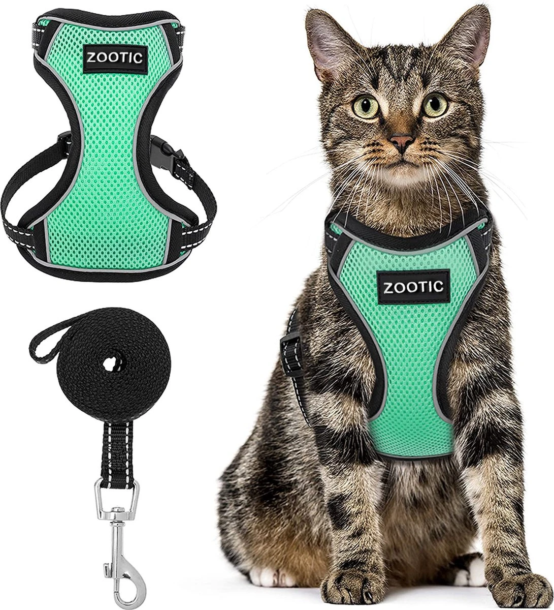 Kattentuigje Met Leiband Riem Kattenharnas Groen Maat M Kat & Kitten - Dieren Kattenriem - Cat Leash - Halsomvang 20 Tot 26cm - Borstomvang 30 Tot 34cm - Zootic®
