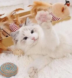 GIZMO Luxe Kattenspeeltjes Set - 7 Speeltjes - Interactieve Kattenhengel, Kattenspeelgoed & Speelmuisjes - Kitten Speeltjes -Huisdierenserie Winkel 1108x1200