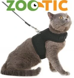 Zootic Kattentuigje Met Leiband Riem Kattenharnas Zwart Maat M Kat & Kitten - Halsomvang 20 Tot 26cm - Borstomvang 30 Tot 34cm -Huisdierenserie Winkel 1135x1200 2