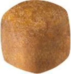 Royal Canin Maine Coon Kitten - Kattenvoer - 4 Kg -Huisdierenserie Winkel 1147x1200 2