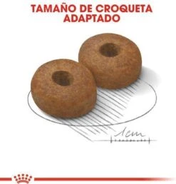 Royal Canin Maxi Ageing 8+ 15 KG -Huisdierenserie Winkel 1149x1200 3