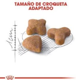 Royal Canin Sensible 33 - Kattenvoer - 10+2 Kg Bonusbag -Huisdierenserie Winkel 1149x1200 4