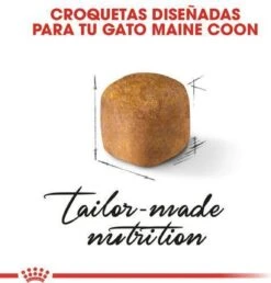 Royal Canin Maine Coon Kitten - Kattenvoer - 4 Kg -Huisdierenserie Winkel 1151x1200 1