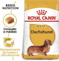 Royal Canin Dachshund/Teckel Adult 7.5 KG -Huisdierenserie Winkel 1162x1200 1