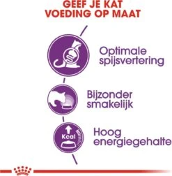 Royal Canin Sensible 33 - Kattenvoer - 10+2 Kg Bonusbag -Huisdierenserie Winkel 1178x1200 1