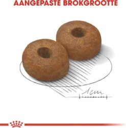 Royal Canin Maxi Ageing 8+ 15 KG -Huisdierenserie Winkel 1179x1200 2