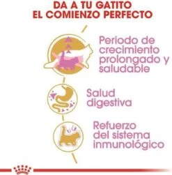 Royal Canin Maine Coon Kitten - Kattenvoer - 4 Kg -Huisdierenserie Winkel 1180x1200