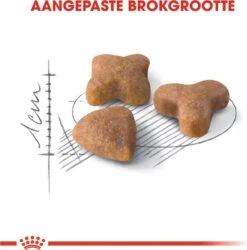 Royal Canin Sensible 33 - Kattenvoer - 10+2 Kg Bonusbag -Huisdierenserie Winkel 1185x1200 4