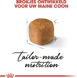 Royal Canin Maine Coon Kitten - Kattenvoer - 4 Kg -Huisdierenserie Winkel 1187x1200 4