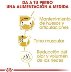 Royal Canin Dachshund/Teckel Adult 7.5 KG -Huisdierenserie Winkel 1190x1200