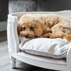 Lord Lou - George Roze Velvet S - Luxe Hondenmand - Luxe Kattenmand - 49x40x31 17 Lord Lou - George Roze Velvet S - Luxe Hondenmand - Luxe Kattenmand - 49x40x31 -Huisdierenserie Winkel 1198x1200 2