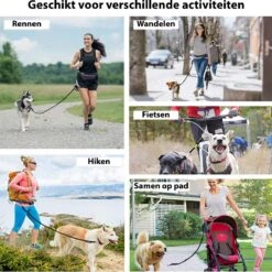 Filo Elastische Hondenriem Middel - Hardlopen En Wandelen - Hardloopriem Hond Handsfree Met Heuptasje - Looplijn Met Heupriem - Canicross Gordel Honden - Riemen - Heupgordel - Leiband -Huisdierenserie Winkel 1198x1200 5