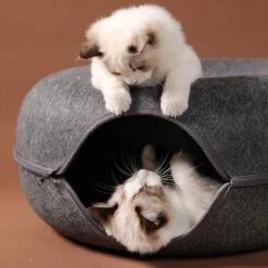 Merkloos A.K.A. Kattentunnel En Kattenmand In-1 – Kattenspeelgoed Speeltunnel Kattenhuis – Kattenhol Rond Kattenspeeltjes - Cat Cave Donut - Antraciet Vilt 12 Merkloos A.K.A. Kattentunnel En Kattenmand In-1 – Kattenspeelgoed Speeltunnel Kattenhuis – Kattenhol Rond Kattenspeeltjes - Cat Cave Donut - Antraciet Vilt -Huisdierenserie Winkel 1198x1200 8