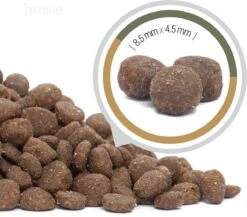 Husse Opus Lynx Graanvrij Kattenvoer - 7 Kg -Huisdierenserie Winkel 1200x1056 1