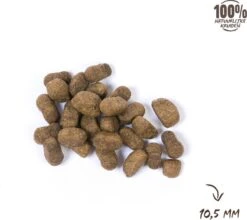 VITALstyle SPIEREN+GEWRICHTEN - Hondenbrokken - 12 Kg -Huisdierenserie Winkel 1200x1067