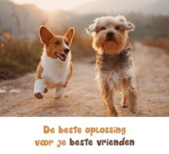 Dubbele Honden Riem – Leiband Hond – Hondenlijn – Looplijn Hond – 2 Honden – 3 Meter – Tot 12kg Per Hond – Reflecterende Lijnen – Met Zaklamp – 360° Draaien – Verstelbaar - Zwart -Huisdierenserie Winkel 1200x1087 2