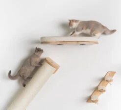 RHRQuality Wandmeubel Wandmontage Klimmuur Kat 53 X 43cm Luxe Kattenbed Creme Wand Muur Krabpaal Katten Muurbevestiging -Huisdierenserie Winkel 1200x1090