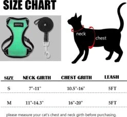 Kattentuigje Met Leiband Riem Kattenharnas Groen Maat M Kat & Kitten - Dieren Kattenriem - Cat Leash - Halsomvang 20 Tot 26cm - Borstomvang 30 Tot 34cm - Zootic® -Huisdierenserie Winkel 1200x1110