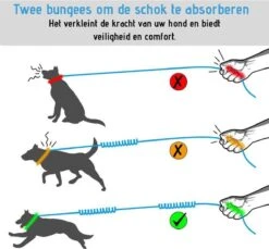 Oak's First Elastische En Diervriendelijke Looplijn Met Heupriem - Hondenriem - 150cm/210cm - Grijs -Huisdierenserie Winkel 1200x1114 3