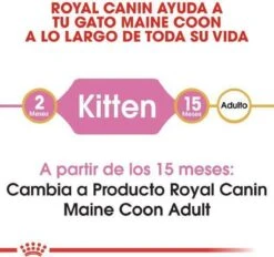 Royal Canin Maine Coon Kitten - Kattenvoer - 4 Kg -Huisdierenserie Winkel 1200x1127 1