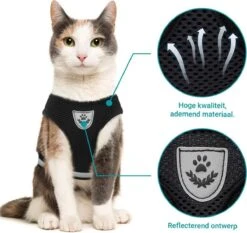 Merkloos Kattentuigje Met Looplijn | Zwart Kattenharnas | Easy Step In | Kattenriem | Kattenlijn | Kattentuig | Maat S 13 Merkloos Kattentuigje Met Looplijn | Zwart Kattenharnas | Easy Step In | Kattenriem | Kattenlijn | Kattentuig | Maat S -Huisdierenserie Winkel 1200x1131