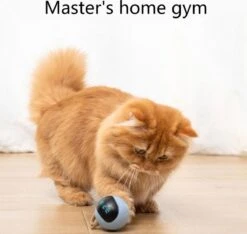 Otiume Interactieve Speelbal - Slimme Interactieve Jaag Speeltje Voor Katten - Kattenspeeltjes - Intelligente Jaagbal - AI -USB Oplaadbaar - LED - Blauw 13 Otiume Interactieve Speelbal - Slimme Interactieve Jaag Speeltje Voor Katten - Kattenspeeltjes - Intelligente Jaagbal - AI -USB Oplaadbaar - LED - Blauw -Huisdierenserie Winkel 1200x1137 5