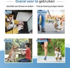 Diervriendelijke Ultrasone Anti- Blaf Apparaat 2023 + Batterijen - Extra Snel Van Blaffen Af - Anti Blafband – Honden Training Blaffen – Hondentrainer -Huisdierenserie Winkel 1200x1159
