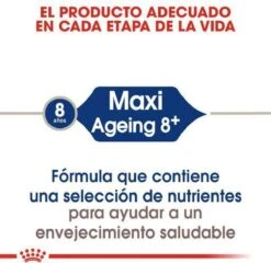 Royal Canin Maxi Ageing 8+ 15 KG -Huisdierenserie Winkel 1200x1164 2
