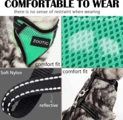 Kattentuigje Met Leiband Riem Kattenharnas Groen Maat M Kat & Kitten - Dieren Kattenriem - Cat Leash - Halsomvang 20 Tot 26cm - Borstomvang 30 Tot 34cm - Zootic® -Huisdierenserie Winkel 1200x1164 3