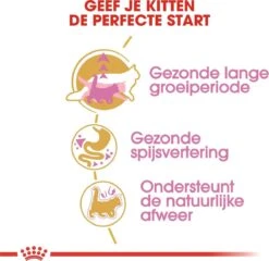 Royal Canin Maine Coon Kitten - Kattenvoer - 4 Kg -Huisdierenserie Winkel 1200x1168 5