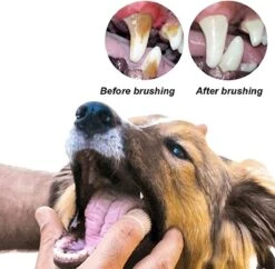 Doodadeals® 4 Stuks Siliconen Honden Tandenborstel - Tanden Borstel Hond - Silicone Dog Tootbrush - Multikleur -Huisdierenserie Winkel 1200x1175