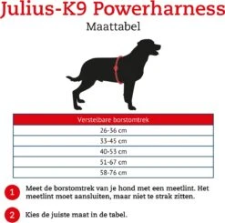 Julius K9 K9®Powertuig, S - Mini, Zwart -Huisdierenserie Winkel 1200x1189 1