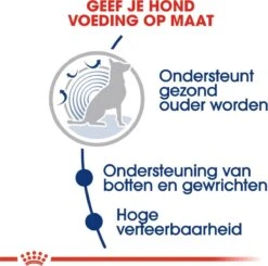 Royal Canin Maxi Ageing 8+ 15 KG -Huisdierenserie Winkel 1200x1192 1