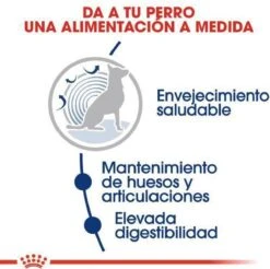 Royal Canin Maxi Ageing 8+ 15 KG -Huisdierenserie Winkel 1200x1197 6