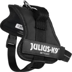 Julius K9 K9®Powertuig, S - Mini, Zwart -Huisdierenserie Winkel 1200x1198 1