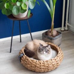 District 70 COCOON - Luxe Hondenmand Van Duurzaam Hoogwaardig Riet Met Zacht Kussen - Maten S/M/L - Large -Huisdierenserie Winkel 1200x1200 100