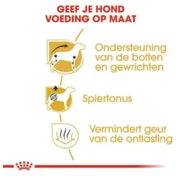 Royal Canin Dachshund/Teckel Adult 7.5 KG -Huisdierenserie Winkel 1200x1200 106