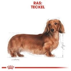 Royal Canin Dachshund/Teckel Adult 7.5 KG -Huisdierenserie Winkel 1200x1200 110