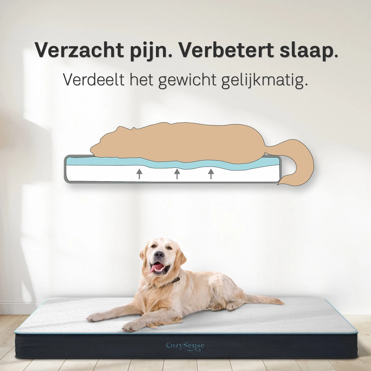 CozySense® - Orthopedisch Hondenkussen - Hondenkussen 75 X 45 Cm - Ook Geschikt Als Benchkussen & Hondenbed - Hondenkussen Bank - Traagschuim - Waterdicht - Wasbare Hoes - Maat M 5 CozySense® - Orthopedisch Hondenkussen - Hondenkussen 75 X 45 Cm - Ook Geschikt Als Benchkussen & Hondenbed - Hondenkussen Bank - Traagschuim - Waterdicht - Wasbare Hoes - Maat M - Afbeelding 3