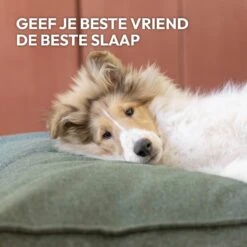 Snoozle Orthopedische Hondenmand - Zacht En Luxe Hondenkussen - Hondenbed - Wasbaar - Hondenmanden - 100 X 70 Cm - Stormy Grey -Huisdierenserie Winkel 1200x1200 153