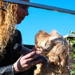 Clipr Ultimate 2-speed Hondentondeuse Op Accu -Huisdierenserie Winkel 1200x1200 169