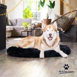 All 4 Pets Supply® Hondenmand Donut - Maat XL - Geschikt Voor Honden Tot 100 Cm - Hondenkussen - Zwart -Huisdierenserie Winkel 1200x1200 189