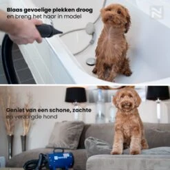 Nuvoo Professionele Hondenföhn / Waterblazer / Hondenborstel Met 3 Opzetstukken - Verstelbare Vermogen Tot 2200W - Warme / Koude Stand - Rood -Huisdierenserie Winkel 1200x1200 20