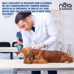 Nola & Coco® Tandsteen Verwijderaar Set Inclusief Bewaardoosje - Tandenkrabber - Set Van Twee - Hond - Kat - Tandenborstel - Tandplak Verwijderen - Tandenstoker - Honden Tanden Schoonmaken - Tandenhaakje - Gebitsreiniging -Huisdierenserie Winkel 1200x1200 200