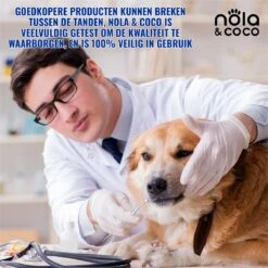 Nola & Coco® Tandsteen Verwijderaar Set Inclusief Bewaardoosje - Tandenkrabber - Set Van Twee - Hond - Kat - Tandenborstel - Tandplak Verwijderen - Tandenstoker - Honden Tanden Schoonmaken - Tandenhaakje - Gebitsreiniging -Huisdierenserie Winkel 1200x1200 201